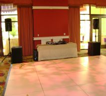 Light Duty DJ System With Subs-3.jpg